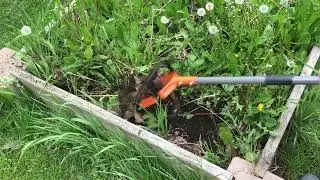 Walensee Rotary Cultivator | FULL DEMO & REVIEW