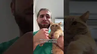 QUI&Eacute;N LO HACE MEJOR? 🤨​​​​​​​​ Os contesto por insta: valmaseda