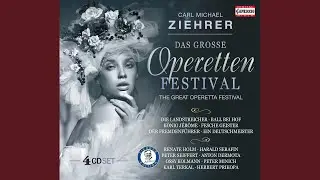 Der Schatzmeister: Walzerlied: Herrreinspaziert (arr. H. Schadenbauer for voice and orchestra)