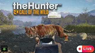 Trying out the NEW Gandhare Rifle on Sundarpatan! | theHunter: Call of The Wild