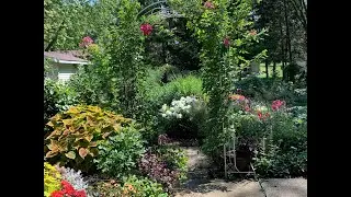 August 2022 Full Garden Tour