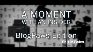 Moment With An Insider - BlogPaws Edition - Dr. Liz Bales