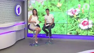 Анонс программы 