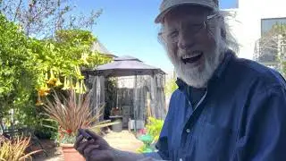Joel Selvin live on The Jake Feinberg Show