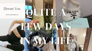 Quite A Few Days in my Life- 4 week program launch, Running 8.5 miles, wedding planning!!