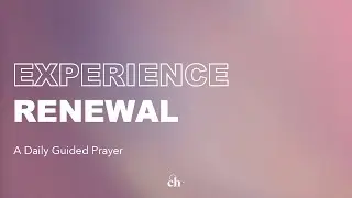 Experience Renewal
