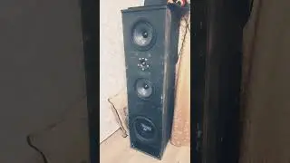 Музыка должна не иуграть #bass #edge #bassvlog