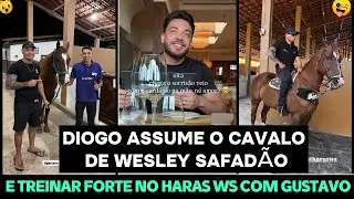 HARAS WS PEGANDO FOGO! DIOGO E GUSTAVO XAVIER TREINAM COM O CAVALO DE WESLEY SAFAD&Atilde;O NO HARAS WS!
