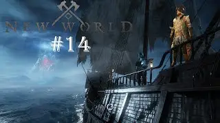 NEW WORLD #14