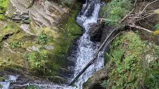 Log Hollow Falls,Slick Rock Falls