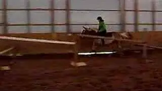 Jumping Bareback & Bridleless