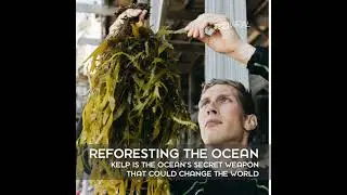 Reforesting the Ocean - Kelp is the Ocean's Secret Weapon That Could Change the World