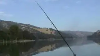 Del Valle Cat Fish RodBal
