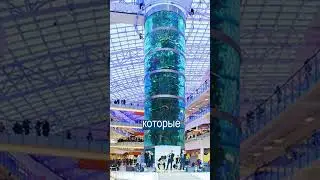 100 Ярдов За Авиапарк: Самый Большой ТЦ Европы Продают
