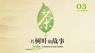 Le thé, l’histoire d’une feuille Episode 3