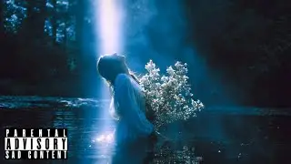 [FREE] Evanescence x Amira Elfeky Type Beat - 