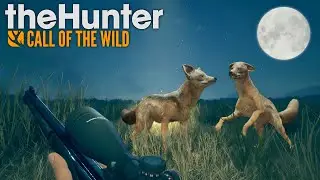 CAÇADA NOTURNA AO CHACAL LISTRADO NA SAVANA - The Hunter Call Of The Wild