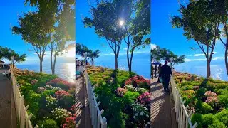 China&rsquo;s Most Beautiful Lakeside Walk: Erhai Lake, Dali 🌸