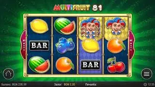 Super Big Win! MULTIFRUIT 81!