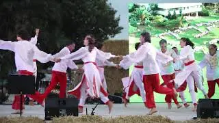 Regavim 70years - dance EFI41770