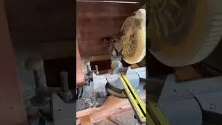 Miter saw dust collection station