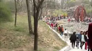 peach blossom island
