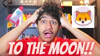 CATECOIN TO THE MOON!! CATECOIN UPDATES!! #CATEARMY