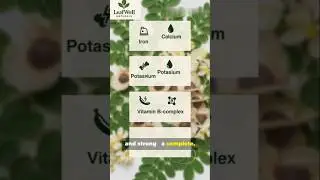 How Moringa Leaves Help Cure Vitamin B12 Deficiency Naturally #moringasuperfood #herbalsupplement