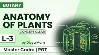 ANATOMY OF PLANTS L-3 |BY DIVYA MAM | Master Cadre Science 