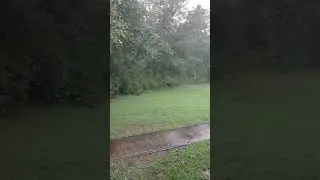 Good ole rainy day #outdoors #nature #peaceoutdoors #outdoorserenity #rainydays #rain #loveinglife