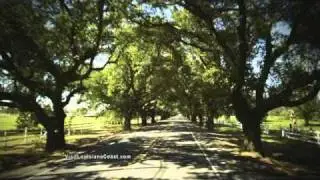 Visit Louisiana's coast - find your adventure