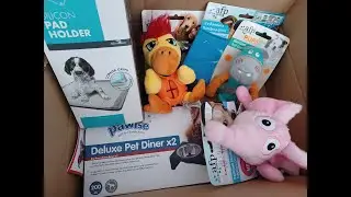 Zoostore Überraschungsbox für Welpen 🐔 Unboxing 💙 | Hundebox Test | 🐺 Husky Goraidh 🐾