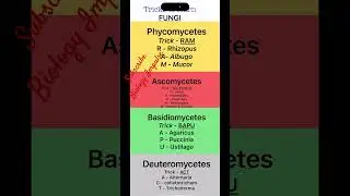 Trick to learn fungi #fungi #fungishorttricks # biology impulse