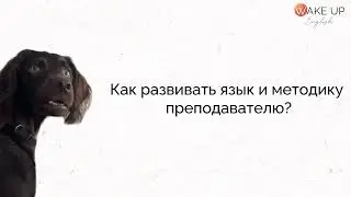 WAKE UP ENGLISH