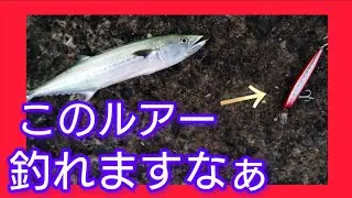 【ショアジギング】このルアー、釣れるんです。激流の中でも、きちんとアピールしてヒット率が高いです。 #北九州釣り #fishing #釣り #青物 #ブリ #ヒラマサ #サワラ #釣り釣りバンバン
