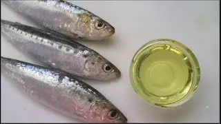 How to make Fish Oil at home