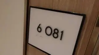 Room Tour of Holland America Line Rotterdam Balcony Stateroom 6081