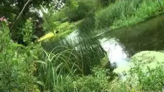 Managing water resources in England and Wales