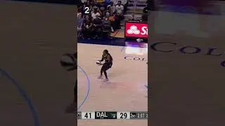 The funniest WNBA lowlights.
