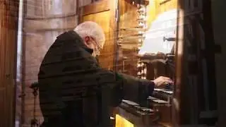 J.S. Bach: Jesu, joy of man's desiring BWV 147 (P. Bardon)