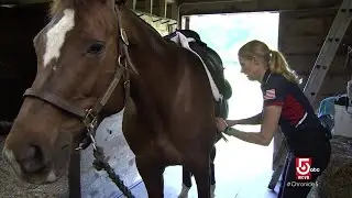 After each fighting their own battles, equestrian and horse rewrite the future together