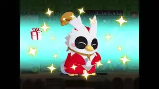 キモリがスタッフになりました！