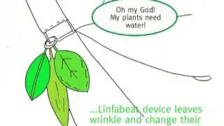 linfabeat concept storyboard