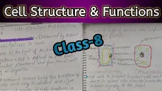 Cell Structure and Functions Full Chapter Class 8 Science | NCERT Science Class 8 Chapter 8