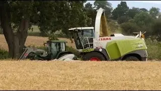 Very Fast Wholecrop