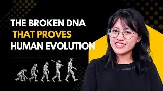 Pseudogenes: The Broken DNA That Proves Human Evolution