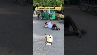 If animals can speak 🤣😭 #trending #shorts