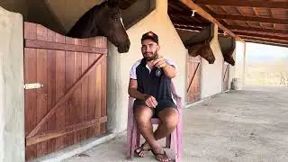 PAREI DE IR VAQUEJADA 