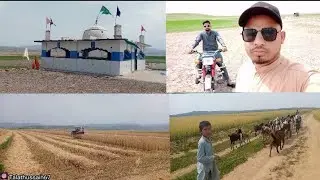 Paleer Sharif Kalwari Dadyal Azad Kashmir | Old Village Dadyal AJK | with #ghulammustafadadyal