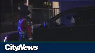 Calgarians react to new Alberta driving rules